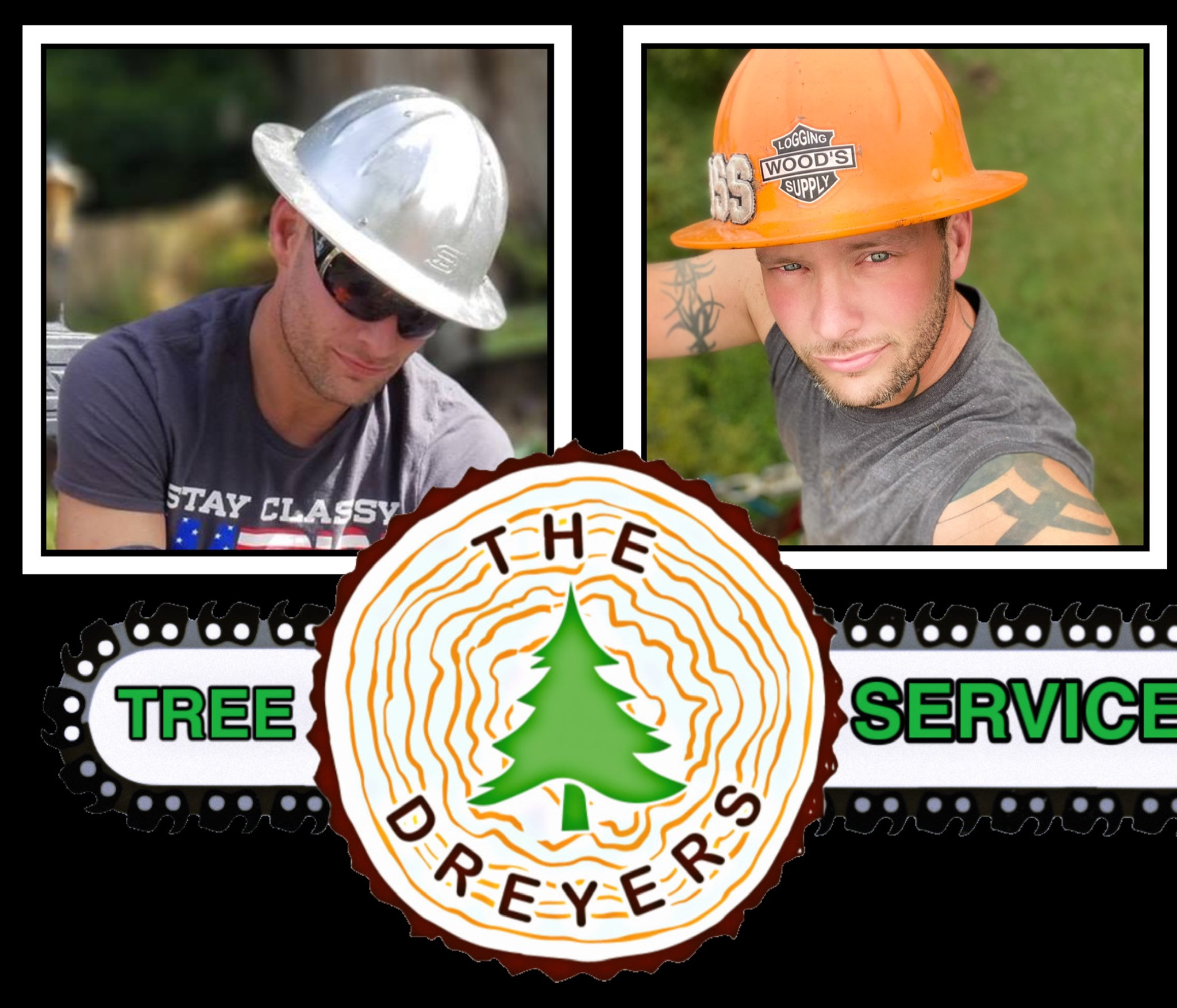 About the Dreyers Tree Service