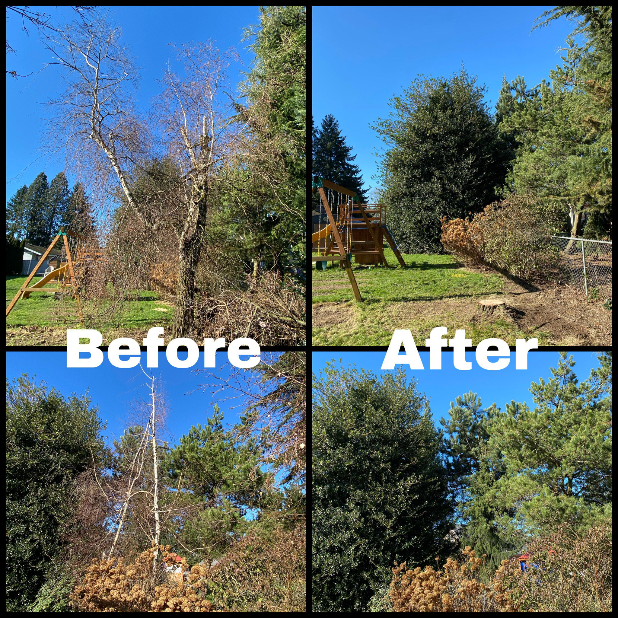 Tree Pruning Service