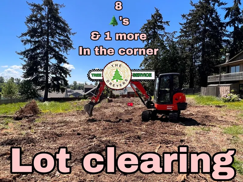 Lot Clearing